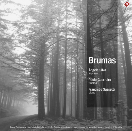 CD Brumas (2010), portuguese music, with Paulo Guerreiro, Francisco Sassetti, editor Numerica